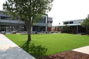 Synthetic Grass For Schools